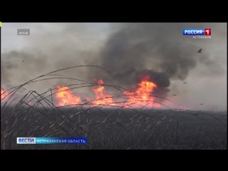 Астраханцев предупреждают о начале пожароопасного периода