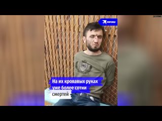 Очевидица трагедии в “Крокус Сити Холле“ рассказывает о жестокости напавших боевиков  Люди, пришедши