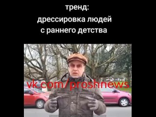 От подписчика в рубрику #школьная_война