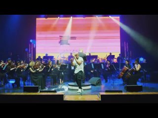 The Dmitry Butenko Orchestra - Freestyler by Bomfunk MC's