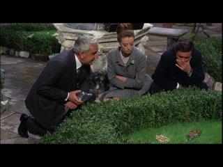 Горшок меда (1967) [США, комедия, криминал, детектив]  MVO НТВ+