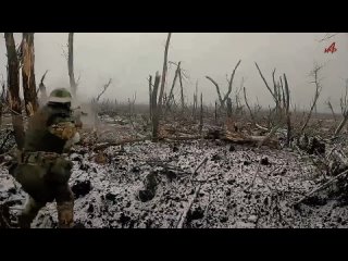 Видео от Живём «здесь и сейчас»