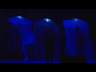 Танец медуз 2016