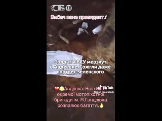 Видео от Живём «здесь и сейчас»