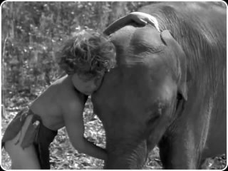 1939 Тарзан находит сына (Tarzan Finds a Son)