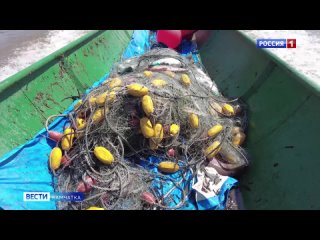 Вице-спикер Государственной Думы Ирина Яровая вновь встала на защиту интересов рыбаков Камчатки, которые несут потери из-за невы