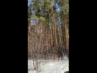 Видео от Ольги Спиридоновой