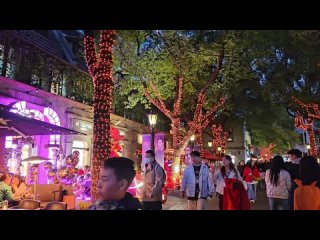 2024 Shanghai Spring Festival Walk Tour-Looking for Dragon-New Year Light 上海新年春节寻“龙”漫步龙年光影秀中国龙头城市！