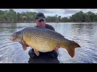 Видео от WORLD CARPFISHING