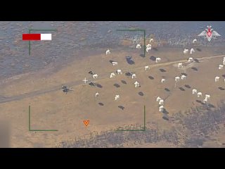 Уничтожены вертолеты ВСУ на площадке подскока в Донецкой Народной Республике