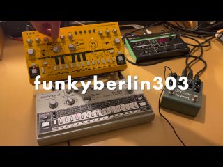 Behringer TD-3 _ Roland TR-606 _ Strymon El Capistan - Acid Jam Session