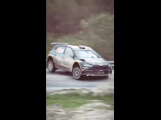 Wrc SkodaFabia