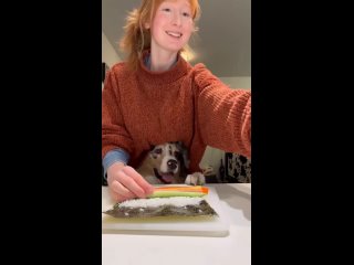 Ничего необычного, просто собачка готовит роллы 😁