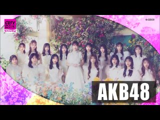 AKB48 CDTV LIVE