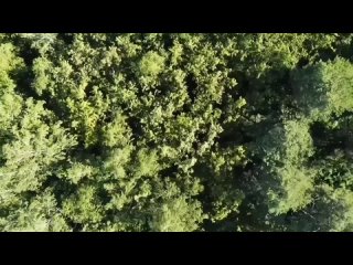 Видео от Озеро Тургояк