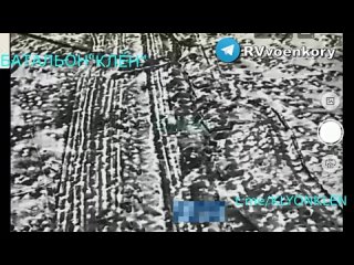 Aerial battle near Verbovoy: drone of the 247th regiment against an air reconnaissance aircraft of the Ukrainian Armed Force