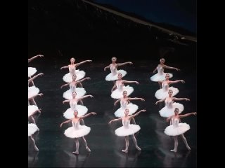 “Лебединое озеро“ в постановке “Балета Сан-Франциско“ | Academic Dance