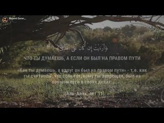 Мухаммад Сиддик Аль Миншави Сура 96 Аяты(6_14)  (720P_HD).mp4