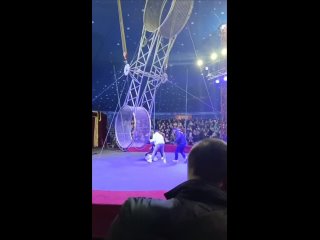 Акробат из новосибирского цирка сорвался с «колеса смерти» в Находке