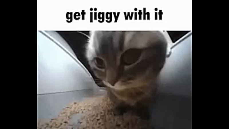 jiggly