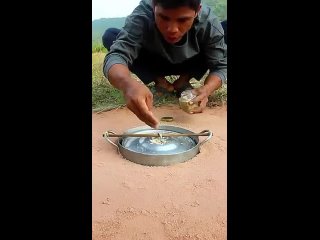 DIY Quail Trap _shorts _amazingtrap(360P).mp4