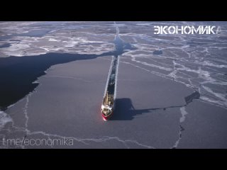 Объем грузоперевозок по Северному морскому пути по итогам 2024 года должен составить около 40 млн т, рассказал вице-премьер Алек