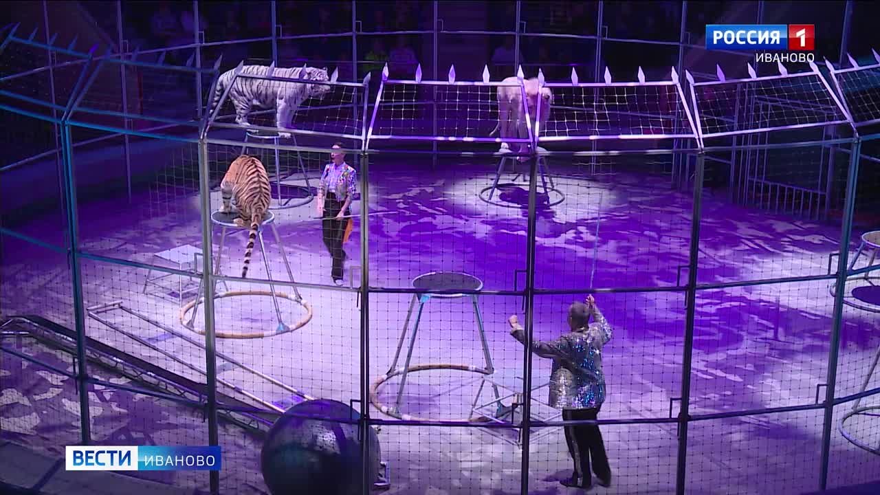 Цирк иваново жираф шоу