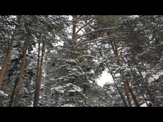 Видео от Натальи Домрачевой