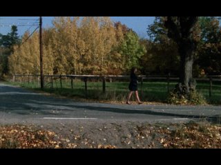 Триллер. Жестокий фильм / Thriller - en grym film (1974) BDRip 720p от msltel | A, L1