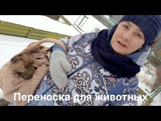 Идеи использования пикниковой корзины