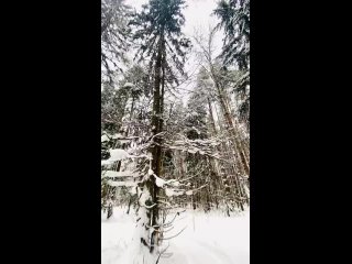 Video von Прокат Квадроциклы Yamaha Grizzly 700|Снегоходы|