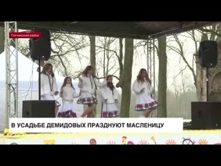 Прямое включение телеканала ЛЕНтв24 с празднования Демидовской Масленицы