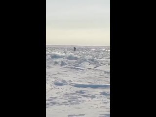 Only in Russia can an icebreaker jump out during winter fishing