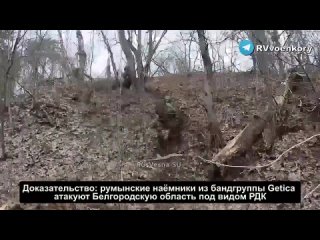 The enemy has thrown foreign mercenaries into the offensive on the Russian border: militants of the Getica group are figh