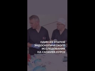 Один из этапов эндоскопического исследования на кадавере