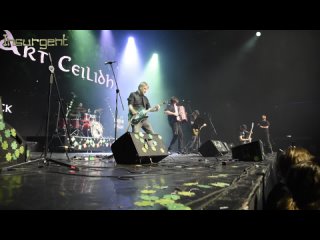 Бригада Святого Патрика Art Ceilidh с песней The Wild Rover