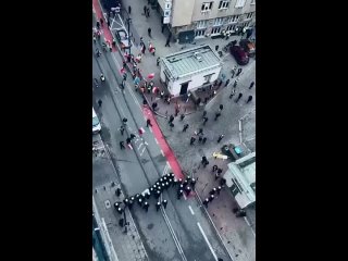 Польская полиция нападает и избивает мирных фермеров, протестующих против «Зеленого курса»