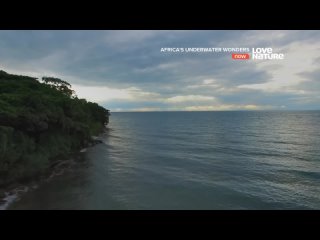 Подводные чудеса Африки. Озеро Малави
