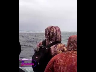 На Сахалине с отколовшейся льдины спасли 82 рыбака  их уносило в море