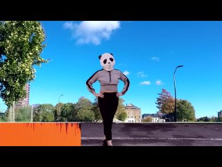 The High Llamas - Hey Panda (Official Music Video)