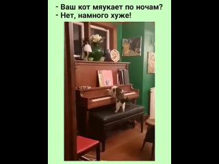 кот играе на пианино