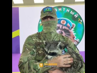 ️Херсонский енот, спасенный российскими десантниками, посетил выставку “Россия“