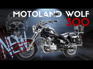 🚀 Новое поколение Motoland WOLF 300 уже почти здесь! 🏍💨