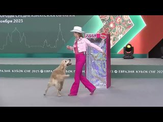 Танцы с собаками Евразия 2023