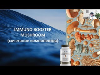 Грибной усилитель иммунитета. Mushroom Immune Booster (БАДы NewWave) ч. 3