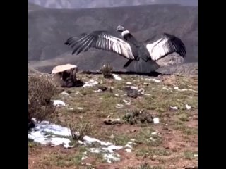 Все как положено. Вышел на взлетку. Двигатели прогрел и вперед, к новым вершинам