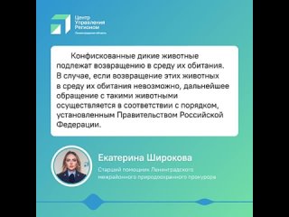 Ленинградская межрайонная природоохранная прокуратура в традиционной рубрике