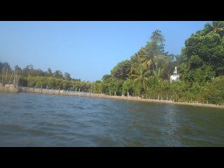Райский остров Шри-Ланка, Хиккадува, Голубая Лагуна, сафари на лодках по реке, 2024 ))))) видео 16