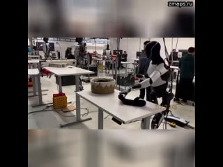 Илон Маск – о том, что роботы скоро заменят сотрудников в магазинах: Роботы Optimus научились склады