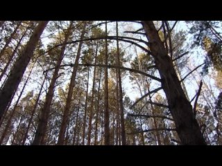 Площадь лесных пожаров в Прибайкалье сократилась в 42 раза